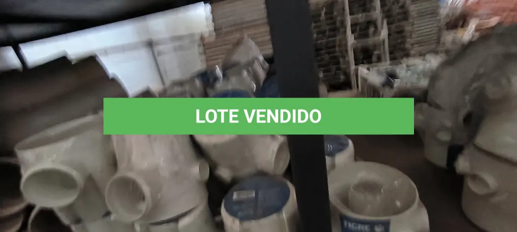 LOTE 319