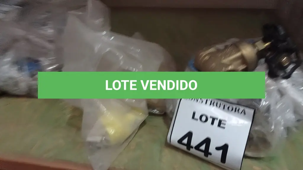 LOTE 441