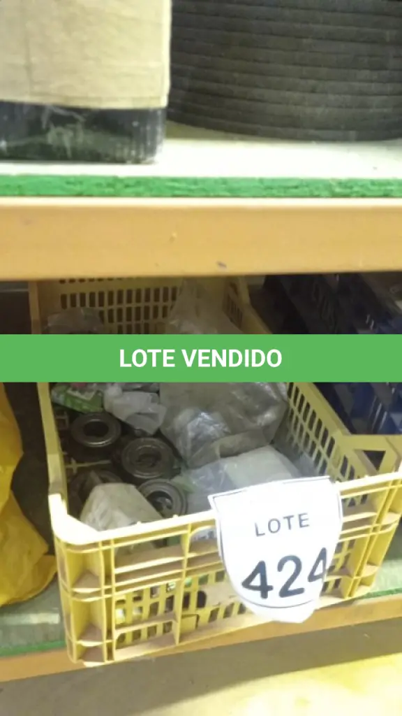 LOTE 424