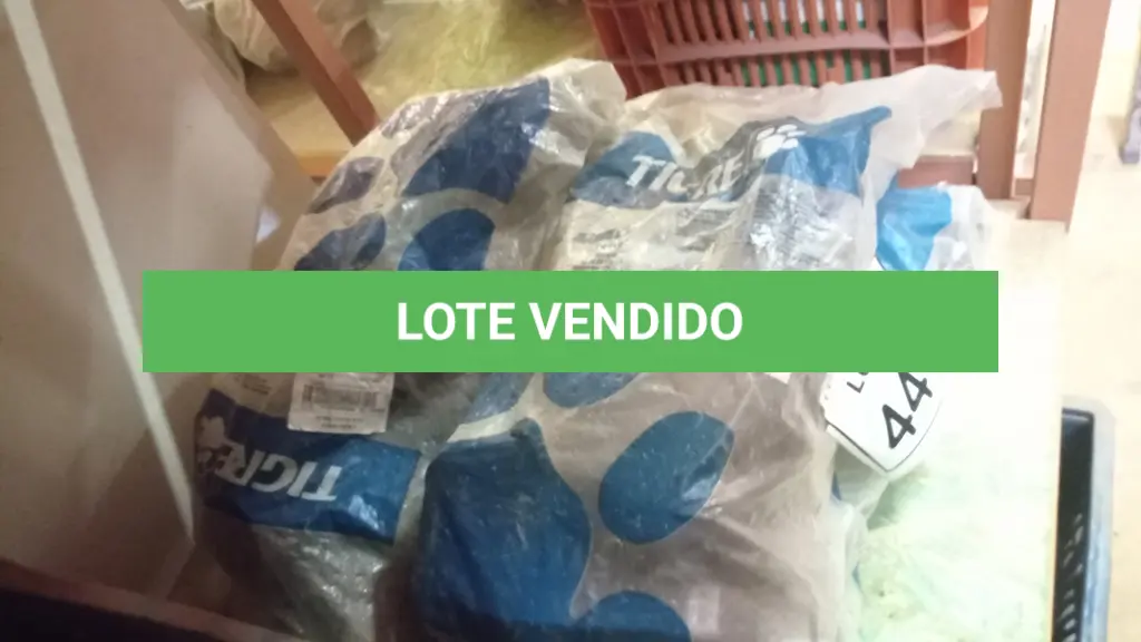 LOTE 447