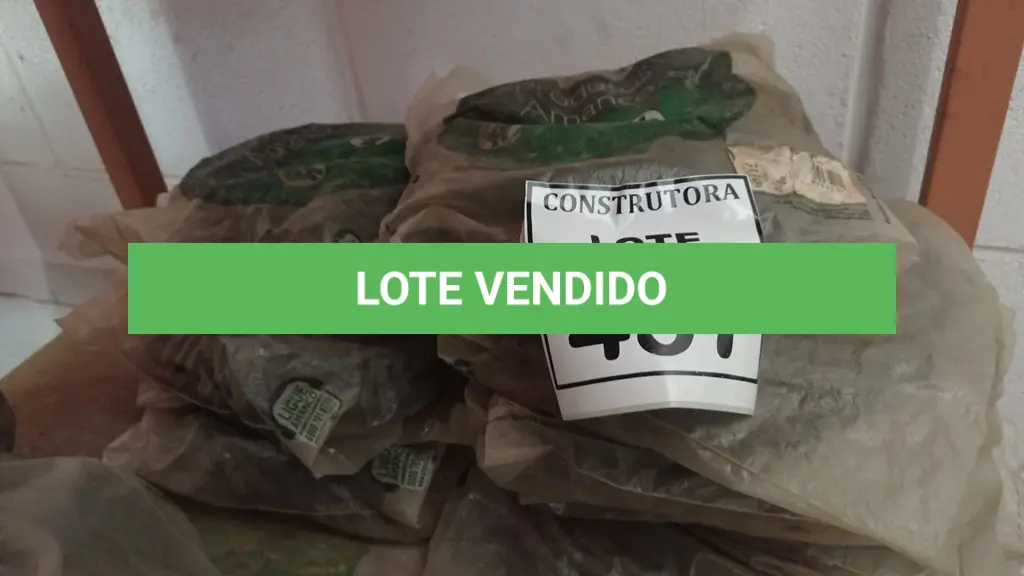 LOTE 457