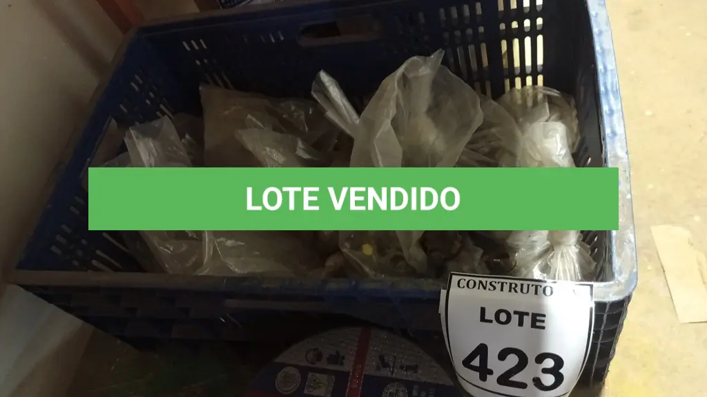 LOTE 423
