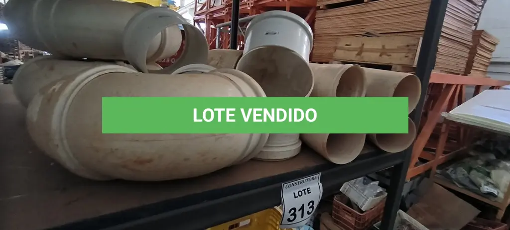 LOTE 313