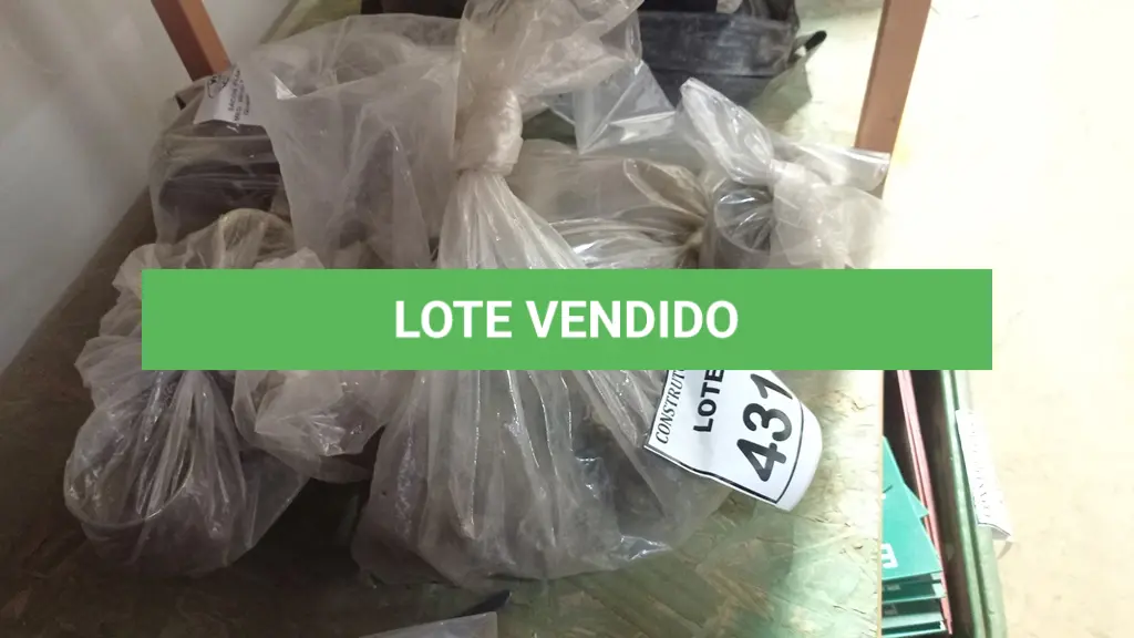 LOTE 431