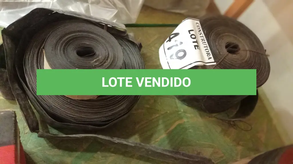LOTE 419