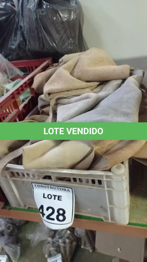 LOTE 428