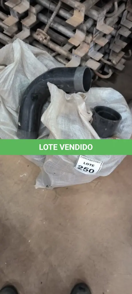 LOTE 250