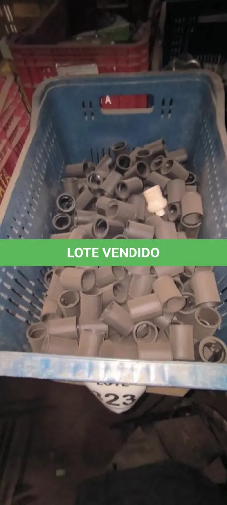 LOTE 323