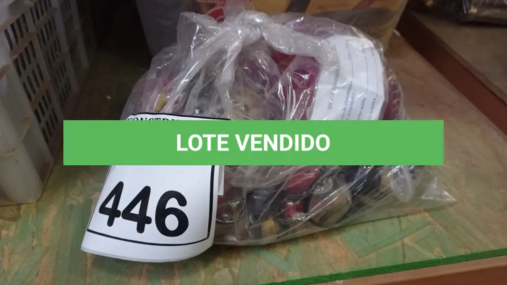 LOTE 446