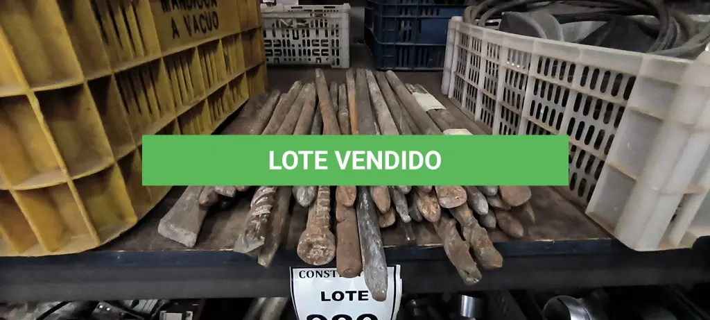 LOTE 289