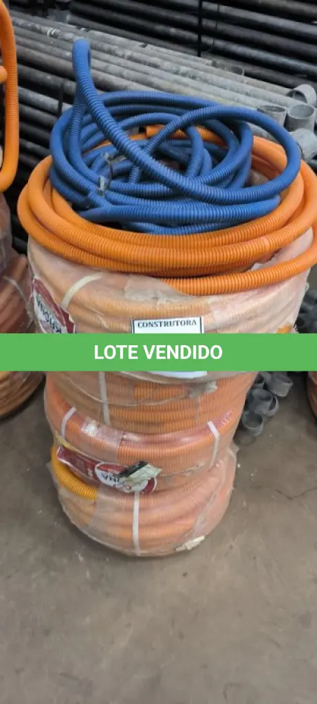 LOTE 247