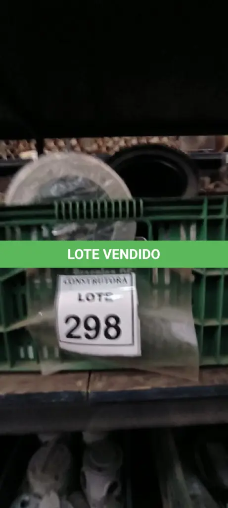 LOTE 298