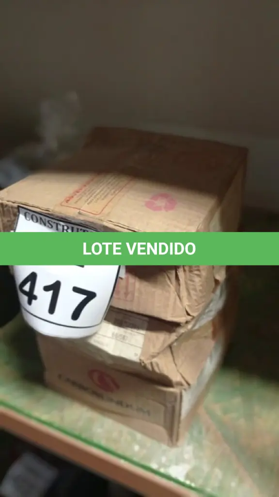 LOTE 417