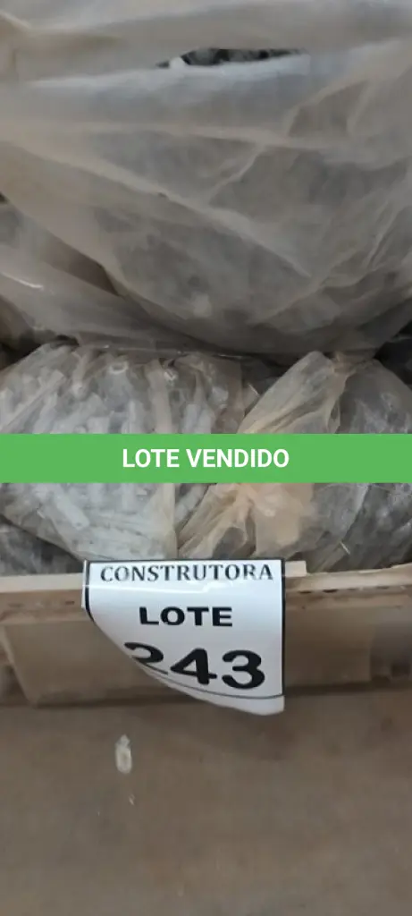 LOTE 243