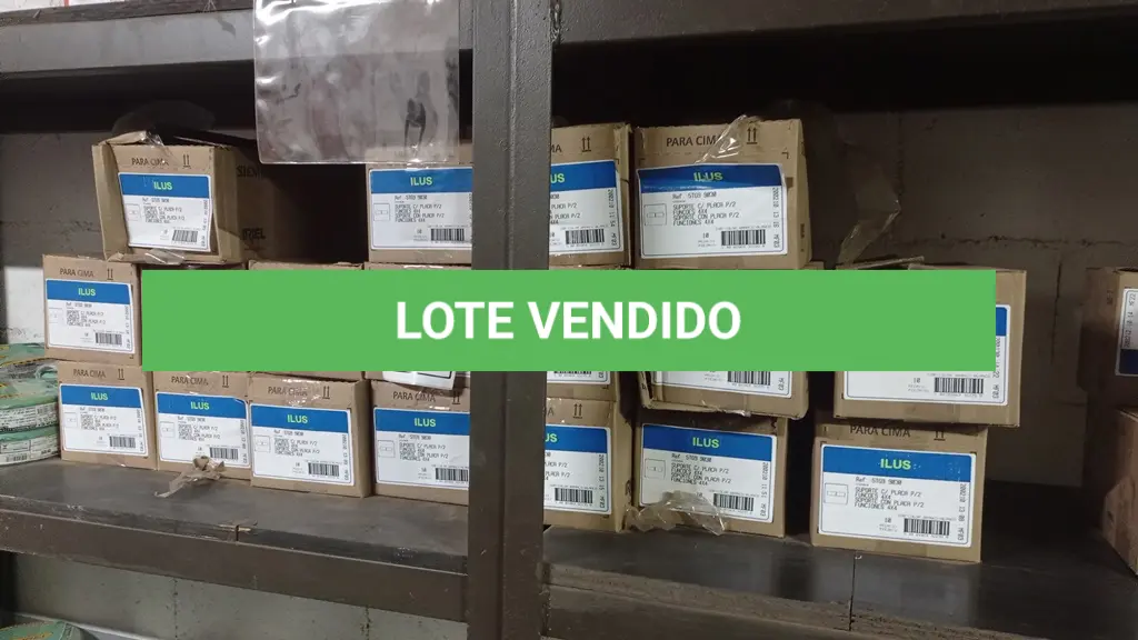 LOTE 519