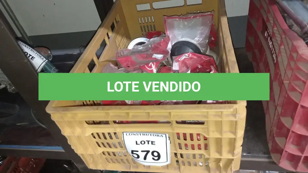 LOTE 579