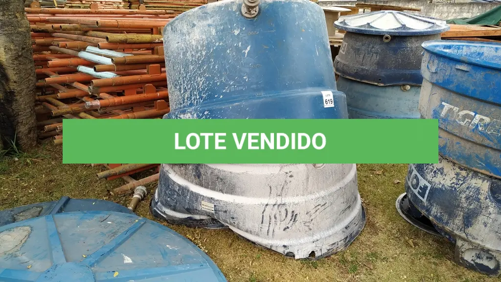 LOTE 619