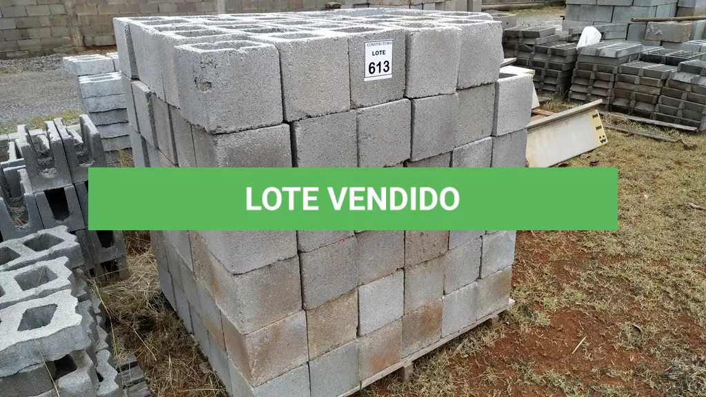 LOTE 613