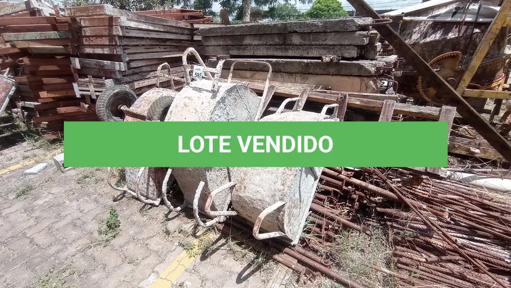 LOTE 595
