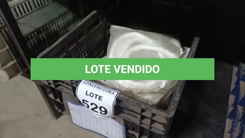 LOTE 529