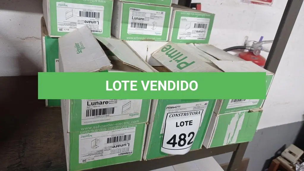 LOTE 482