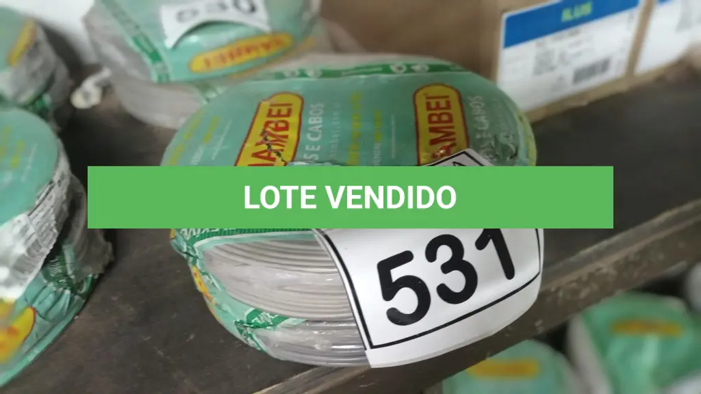 LOTE 531