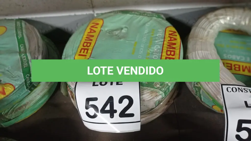 LOTE 542