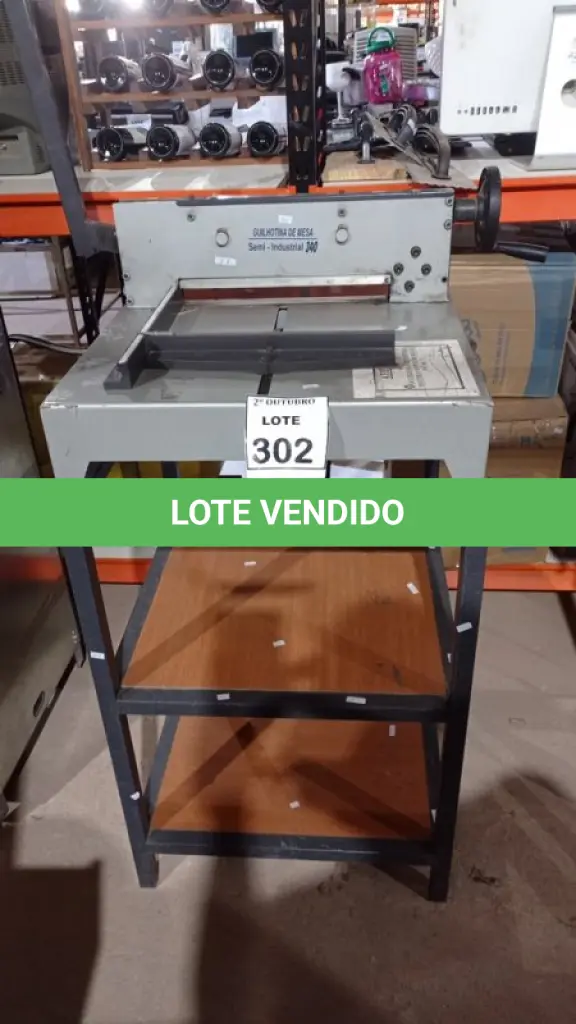 LOTE 302