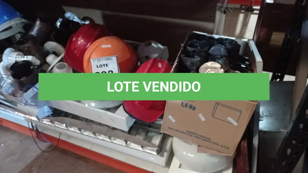 LOTE 293
