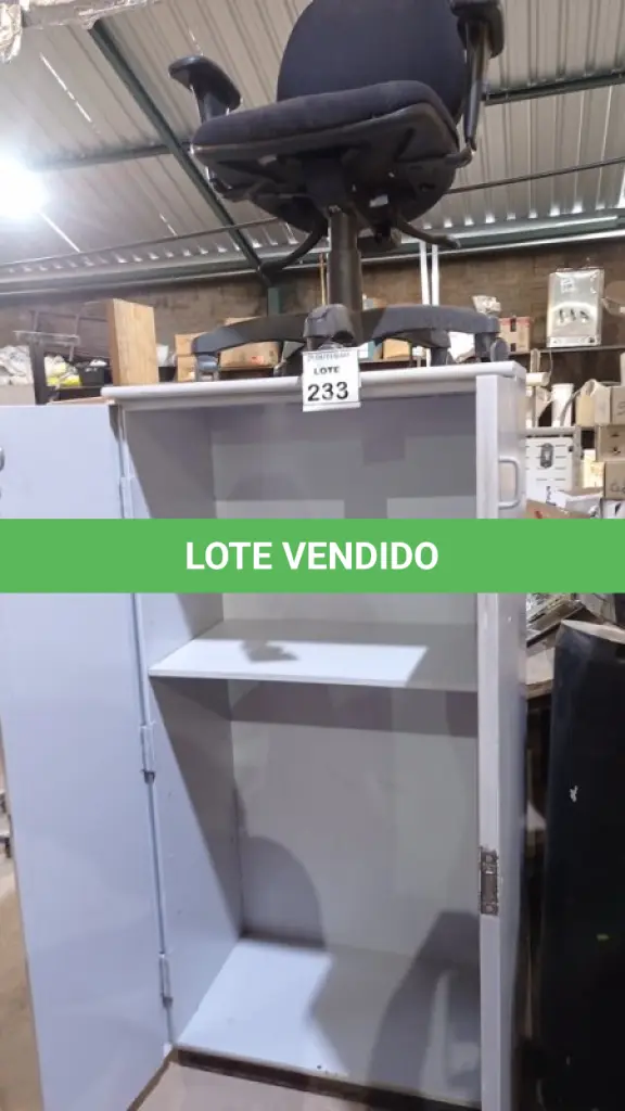 LOTE 233