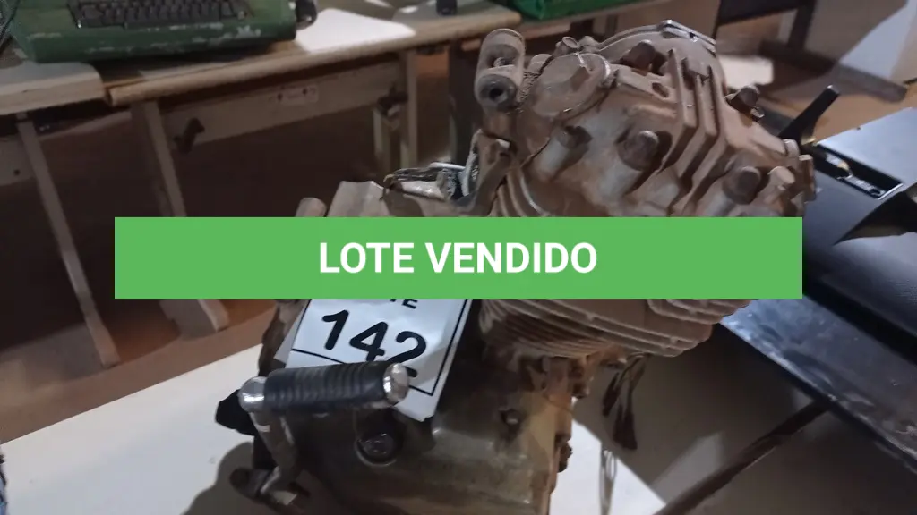 LOTE 142
