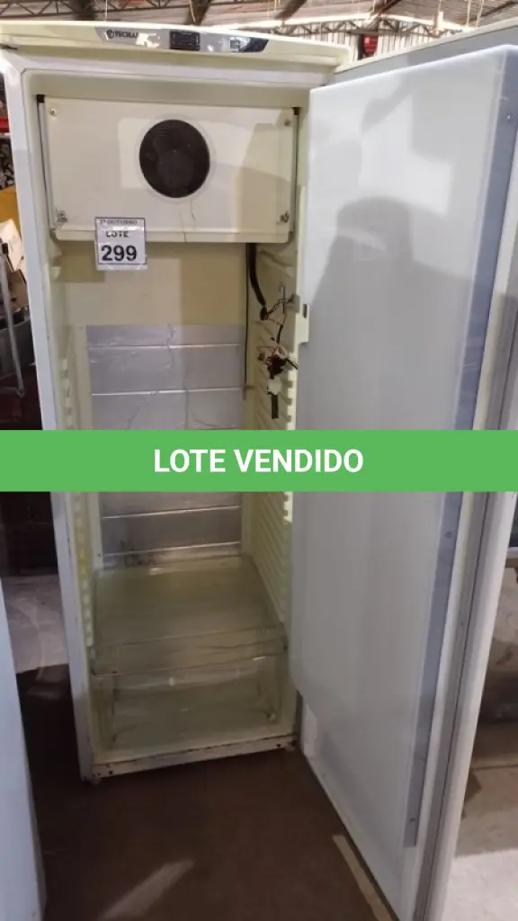 LOTE 299