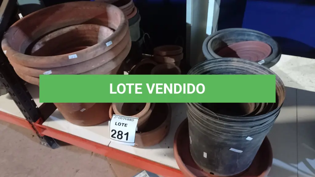 LOTE 281