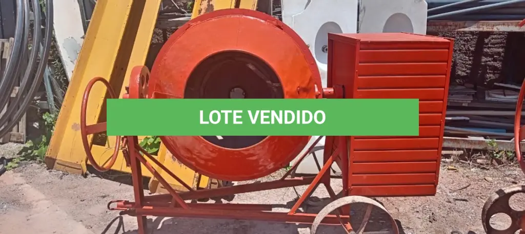 LOTE 334
