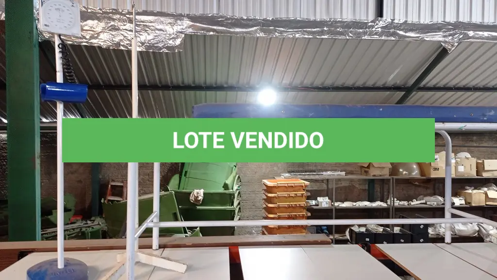 LOTE 298