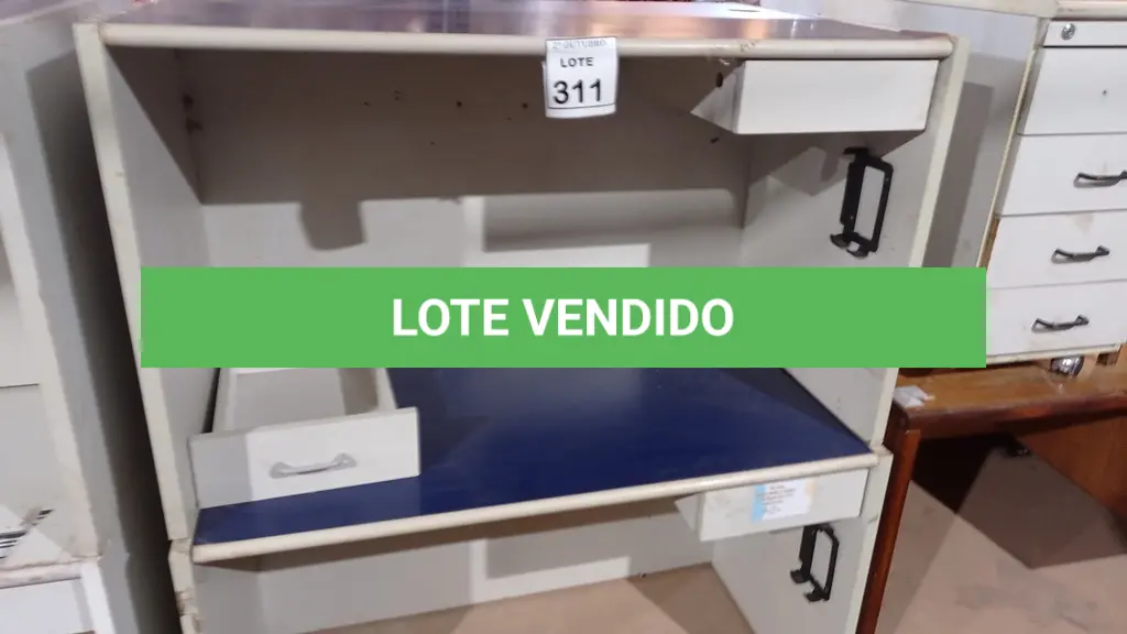 LOTE 311