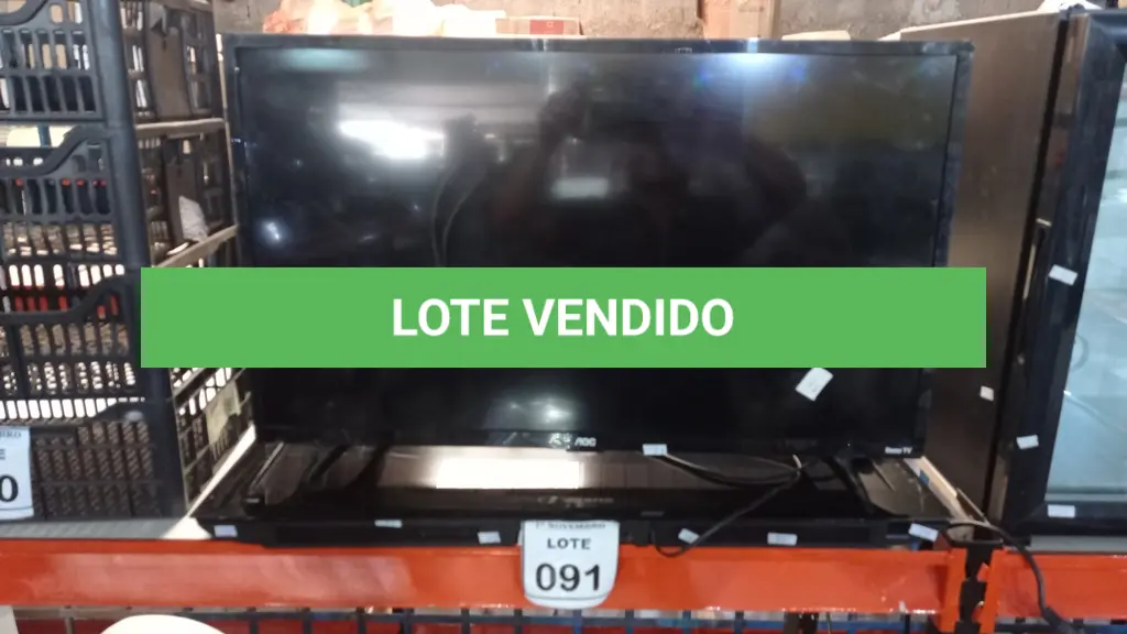 LOTE 091