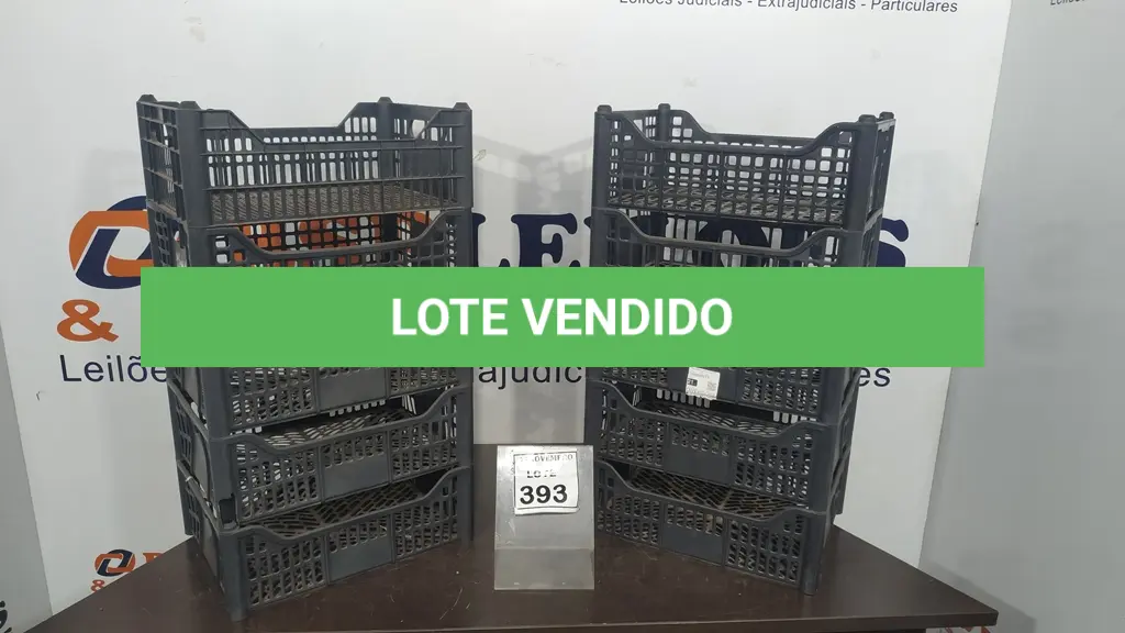 LOTE 393