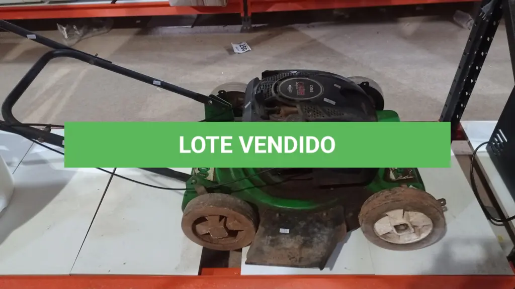 LOTE 123