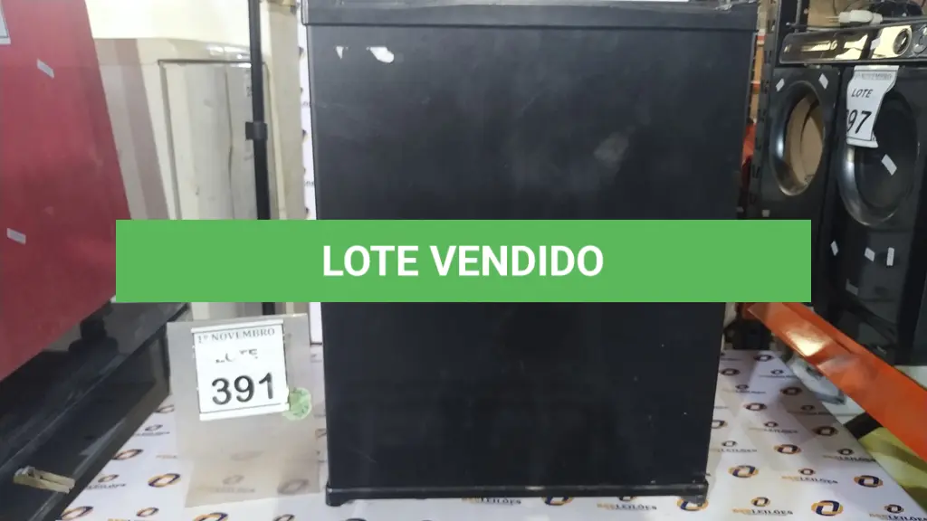 LOTE 391