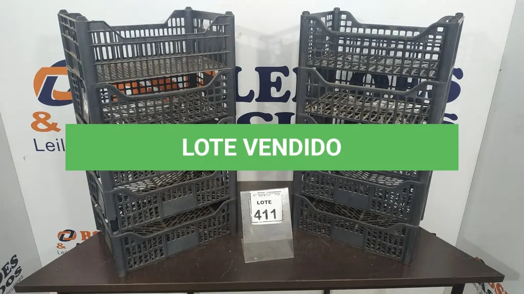 LOTE 411