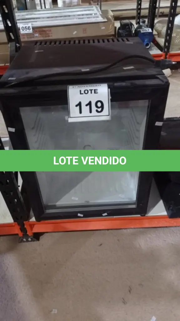 LOTE 119