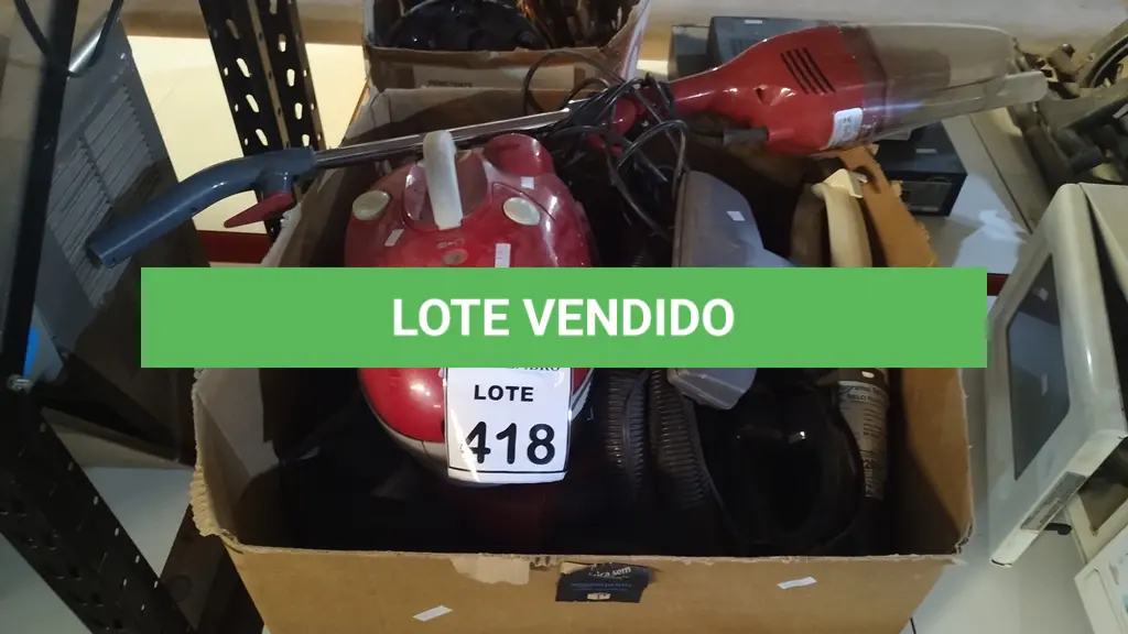 LOTE 418