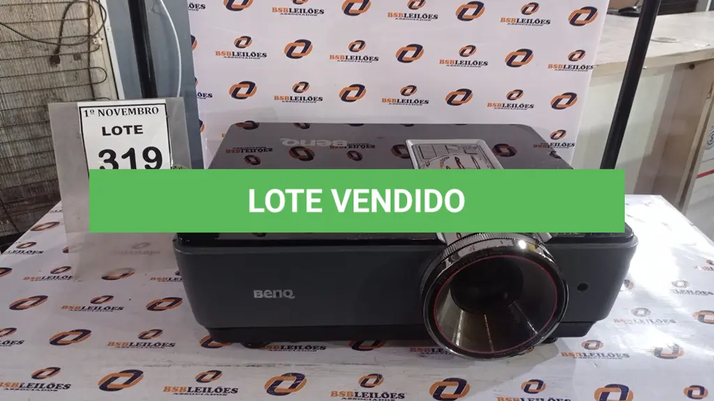 LOTE 319