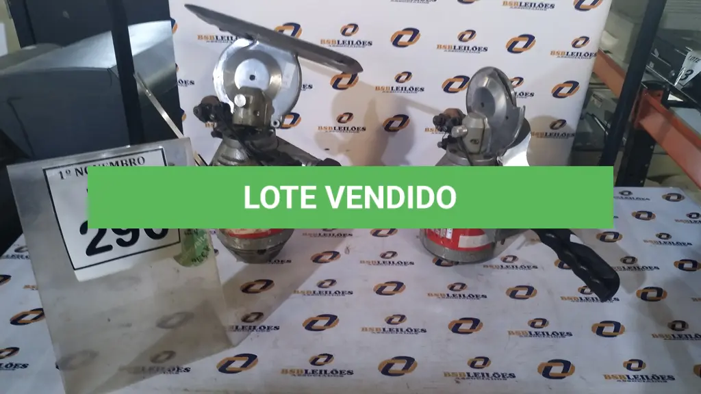 LOTE 296