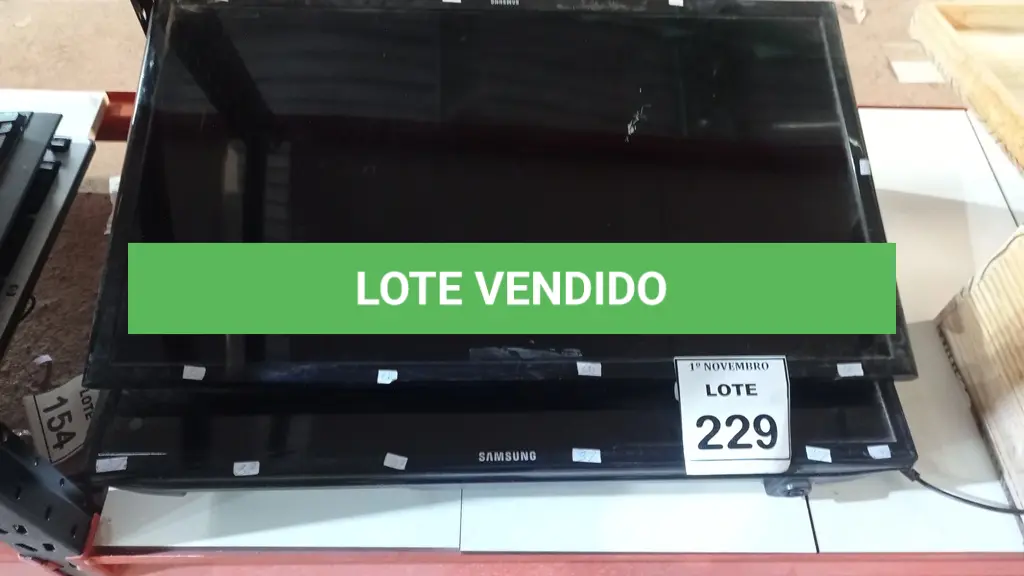 LOTE 229