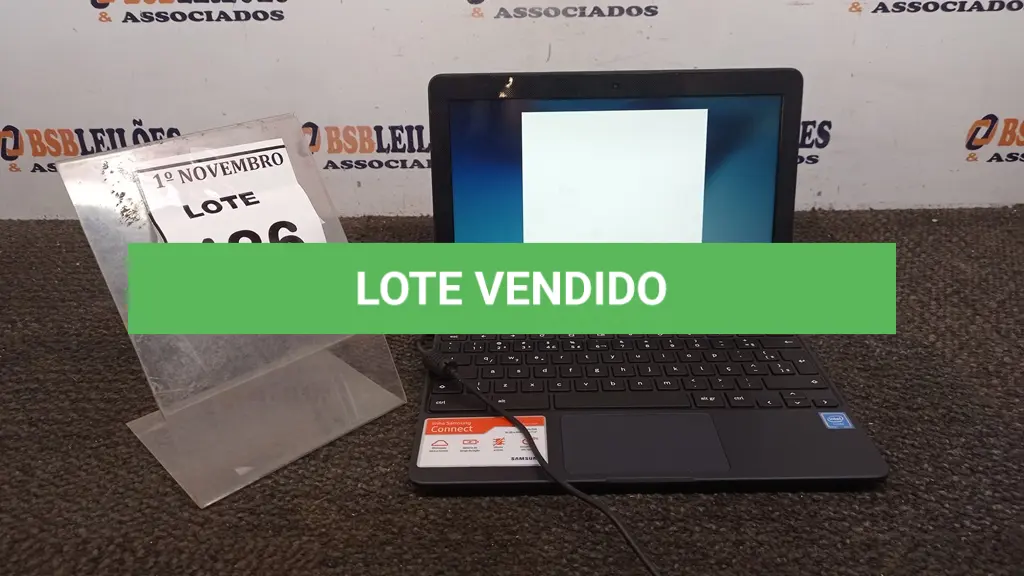 LOTE 486