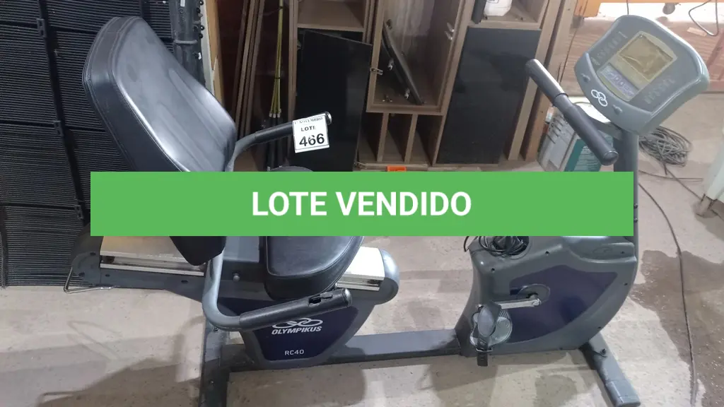 LOTE 466