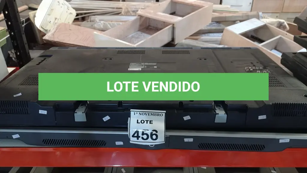 LOTE 456