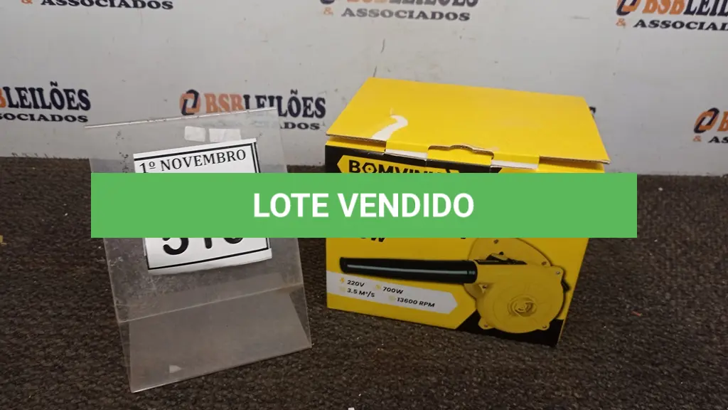 LOTE 510